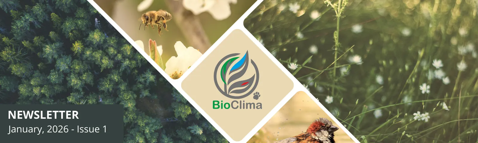 BioClima Newsletter 1 banner horizontal